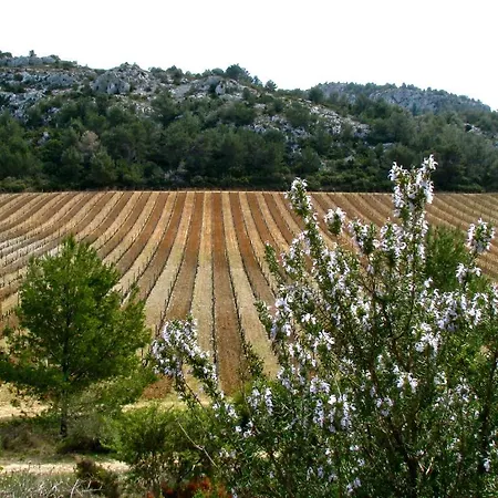 招待所 Mas Du Soleilla 纳博讷