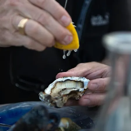 Mas Du Soleilla Maison d'hôtes