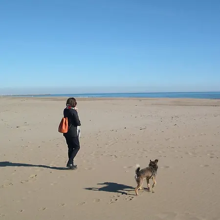 Mas Du Soleilla 招待所 *