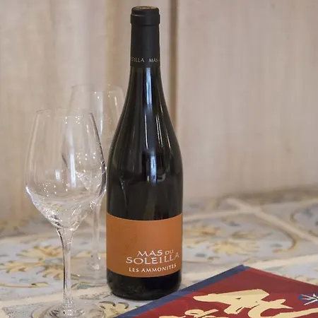 招待所 Mas Du Soleilla