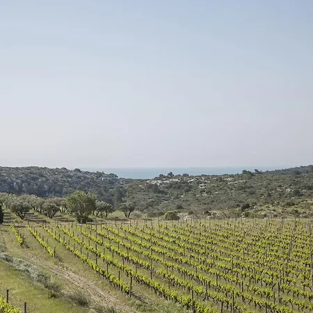 Mas Du Soleilla * 纳博讷