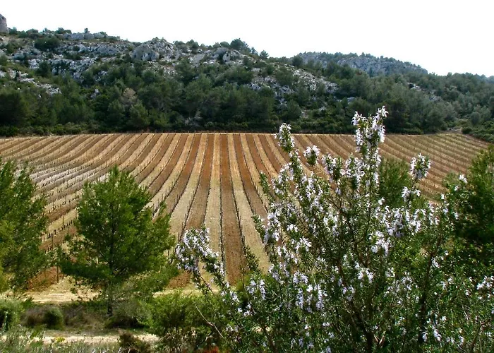 ゲストハウス Mas Du Soleilla ナルボンヌ