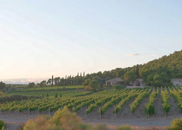 ゲストハウス Mas Du Soleilla ナルボンヌ