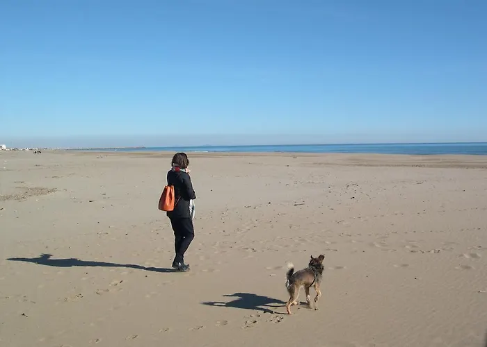 Mas Du Soleilla ゲストハウス *