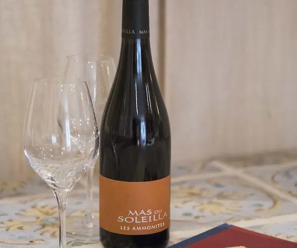 ゲストハウス Mas Du Soleilla