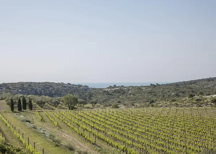 Mas Du Soleilla * ナルボンヌ